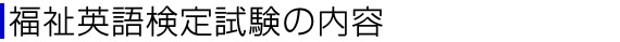 �����p�ꌟ�莎���̓��e